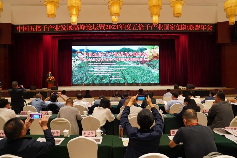 图片名称