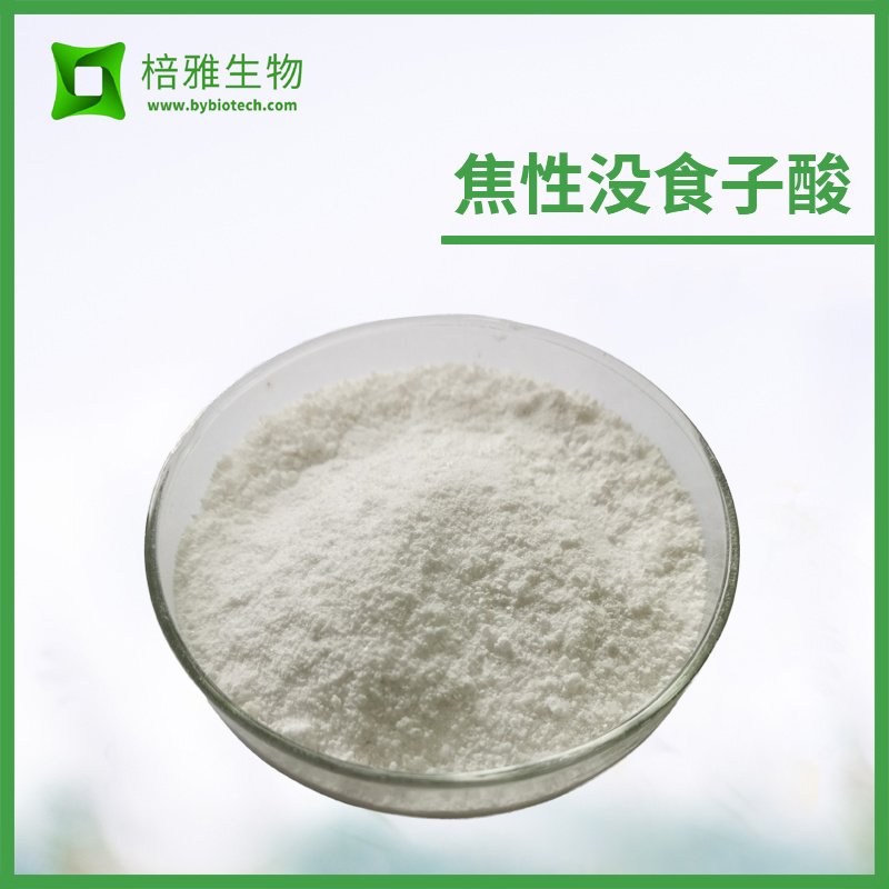 焦性没食子酸